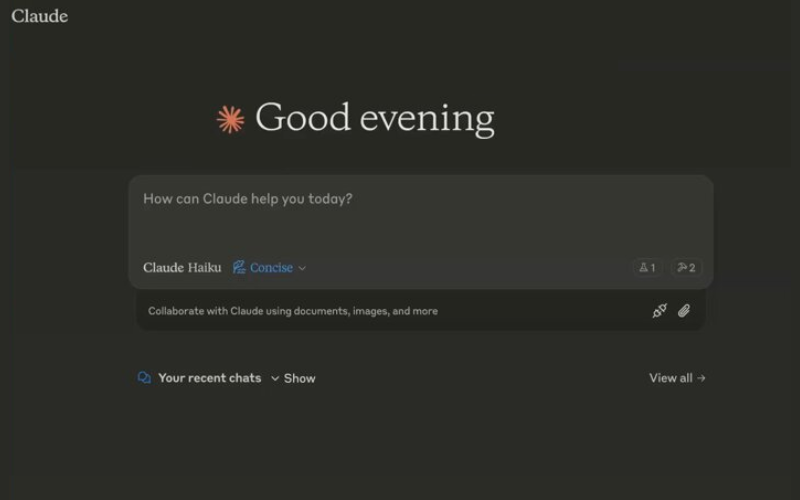 Claude AI Interface